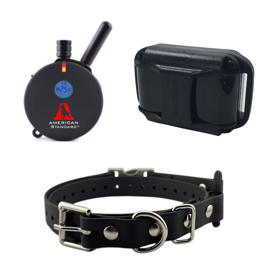 AS/ET-800 The Boss E-Collar with Quick Snap Bungee Collar by E-Collar ...