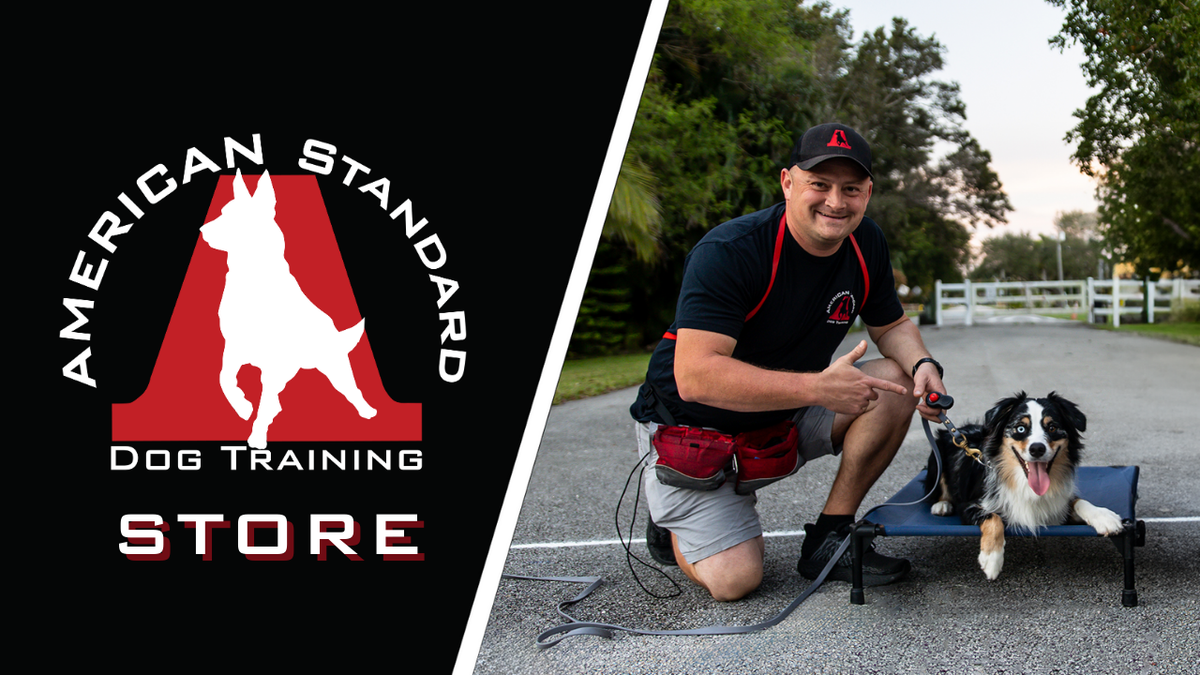 American Standard Dog Training Store
